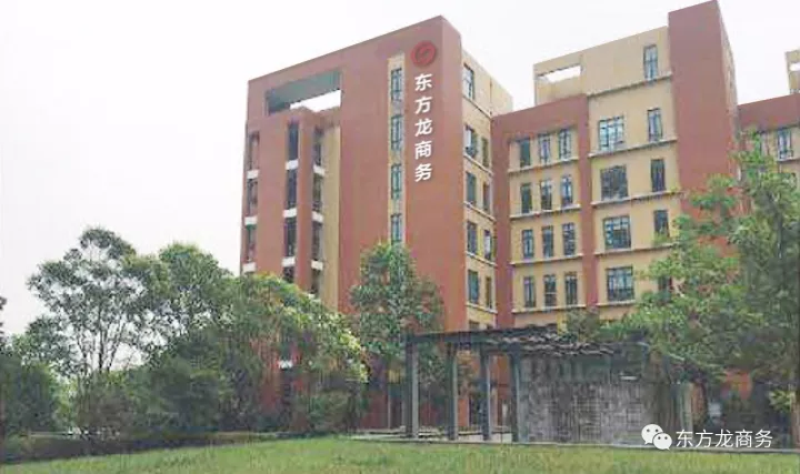 東方龍商務三地聯動,穩步實施“12345”工程,一批大項目開發對接、雙向考察和投資落地 東方龍商務三地聯動,穩步實施“12345”工程,一批大項目開發對接、雙向考察和投資落地