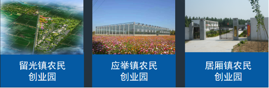 全力助推河南新鄉封丘縣委托招商引資，立足特色產業，打造魅力封丘