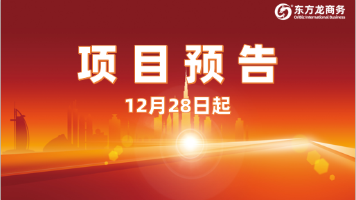 堅持高水準(zhǔn)開發(fā)，高質(zhì)量對接！12月28日起，25家優(yōu)質(zhì)投資選址企業(yè)精準(zhǔn)對接全國政府園區(qū)