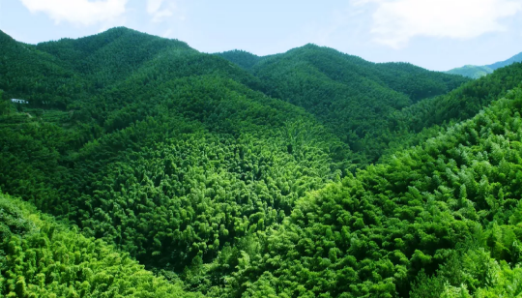集團全力助推安徽六安霍山縣委托招商引資，著力打造支柱型特色產業高質發展