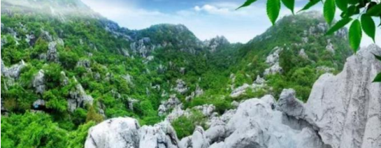政府委托招商合作丨全力助推浙江衢州常山縣傳統(tǒng)產(chǎn)業(yè)加快升級(jí)，新興產(chǎn)業(yè)異軍突起