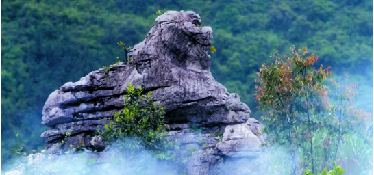 政府委托招商合作丨全力助推浙江衢州常山縣傳統(tǒng)產(chǎn)業(yè)加快升級(jí)，新興產(chǎn)業(yè)異軍突起