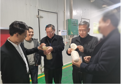 合作邁出堅(jiān)實(shí)一步！集團(tuán)推進(jìn)3家優(yōu)質(zhì)投資選址企業(yè)精準(zhǔn)對(duì)接地方政府