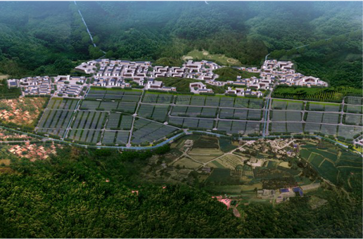 集團全力助推福建寧德周寧縣委托招商引資，強化特色產業實力，為全縣高質量發展增添新動力