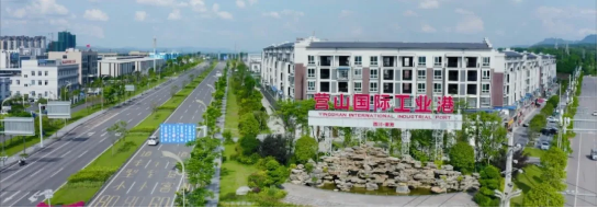 集團(tuán)全力助推四川南充營(yíng)山縣委托招商引資，加快產(chǎn)業(yè)融合發(fā)展，為打造經(jīng)濟(jì)強(qiáng)縣助力
