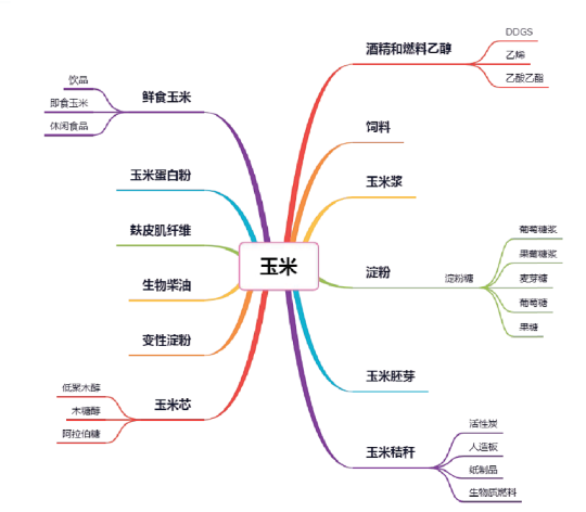 集團全力助推黑龍江省委托招商引資，以農業高質量發展助推鄉村振興