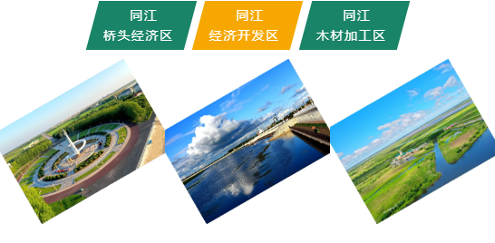 集團全力助推黑龍江省佳木斯市同江市委托招商引資，立足八大優勢，構筑發展新格局