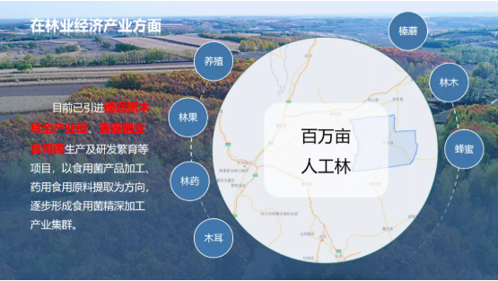 集團全力助推黑龍江齊齊哈爾拜泉縣委托招商引資，立足資源優勢，開辟產業集群高質量發展新高地
