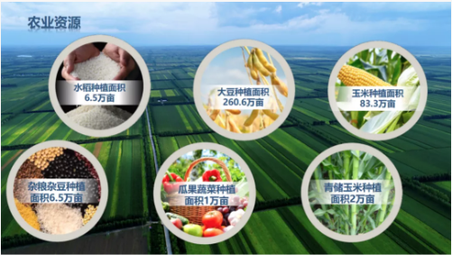 集團全力助推黑龍江齊齊哈爾拜泉縣委托招商引資，立足資源優勢，開辟產業集群高質量發展新高地