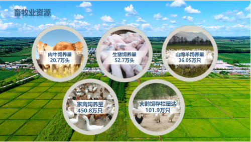 集團全力助推黑龍江齊齊哈爾拜泉縣委托招商引資，立足資源優勢，開辟產業集群高質量發展新高地