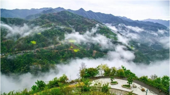 集團全力助推甘肅隴南康縣委托招商引資，以綠色發展推動鄉村振興