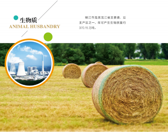 集團全力助推黑龍江嫩江市委托招商引資，以6大優(yōu)勢助推地方產(chǎn)業(yè)高質(zhì)量發(fā)展
