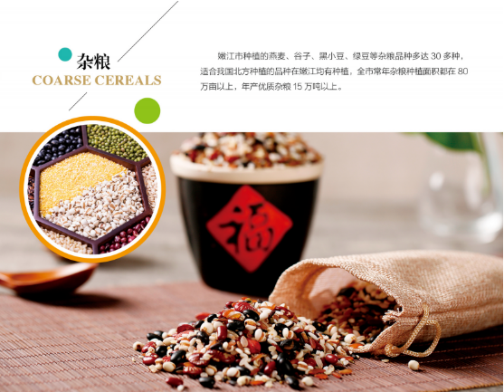 集團全力助推黑龍江嫩江市委托招商引資，以6大優(yōu)勢助推地方產(chǎn)業(yè)高質(zhì)量發(fā)展