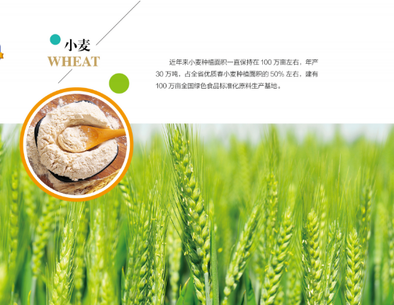 集團全力助推黑龍江嫩江市委托招商引資，以6大優(yōu)勢助推地方產(chǎn)業(yè)高質(zhì)量發(fā)展