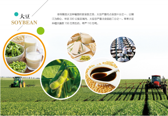 集團全力助推黑龍江嫩江市委托招商引資，以6大優(yōu)勢助推地方產(chǎn)業(yè)高質(zhì)量發(fā)展