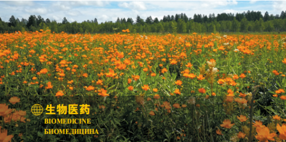 集團全力助推黑龍江大興安嶺委托招商引資，聚力將“冷資源”轉化為“熱經(jīng)濟”！