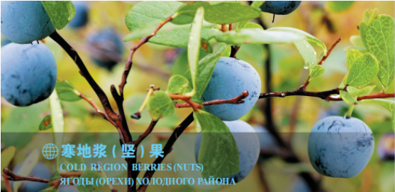 集團全力助推黑龍江大興安嶺委托招商引資，聚力將“冷資源”轉化為“熱經(jīng)濟”！