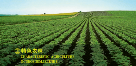 集團全力助推黑龍江大興安嶺委托招商引資，聚力將“冷資源”轉化為“熱經(jīng)濟”！