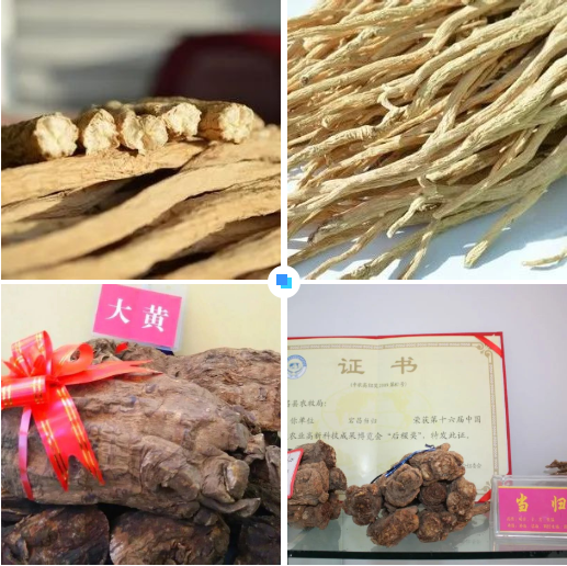 集團(tuán)全力助推甘肅隴南宕昌縣委托招商引資，以特色優(yōu)勢(shì)資源引領(lǐng)，培育綠色產(chǎn)業(yè)高質(zhì)量發(fā)展！