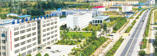 集團(tuán)全力助推陜西省城固縣委托招商引資，打造百億級產(chǎn)業(yè)集群