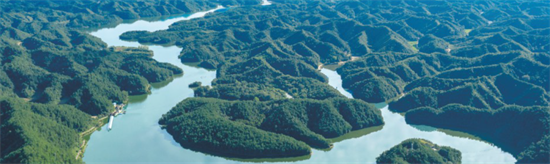 集團(tuán)全力助推陜西省城固縣委托招商引資，打造百億級產(chǎn)業(yè)集群