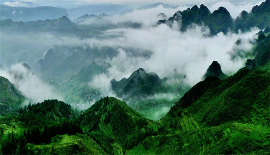 集團(tuán)全力助推甘肅隴南武都區(qū)委托招商引資，將地域資源優(yōu)勢(shì)轉(zhuǎn)化為經(jīng)濟(jì)發(fā)展新動(dòng)能