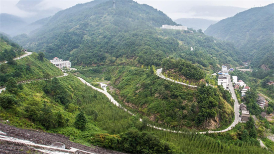 集團(tuán)全力助推甘肅隴南武都區(qū)委托招商引資，將地域資源優(yōu)勢(shì)轉(zhuǎn)化為經(jīng)濟(jì)發(fā)展新動(dòng)能