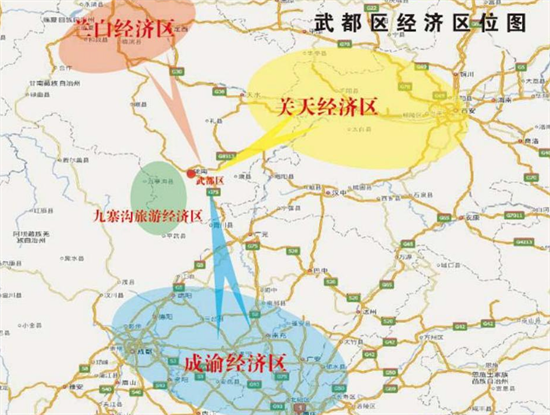 集團(tuán)全力助推甘肅隴南武都區(qū)委托招商引資，將地域資源優(yōu)勢(shì)轉(zhuǎn)化為經(jīng)濟(jì)發(fā)展新動(dòng)能