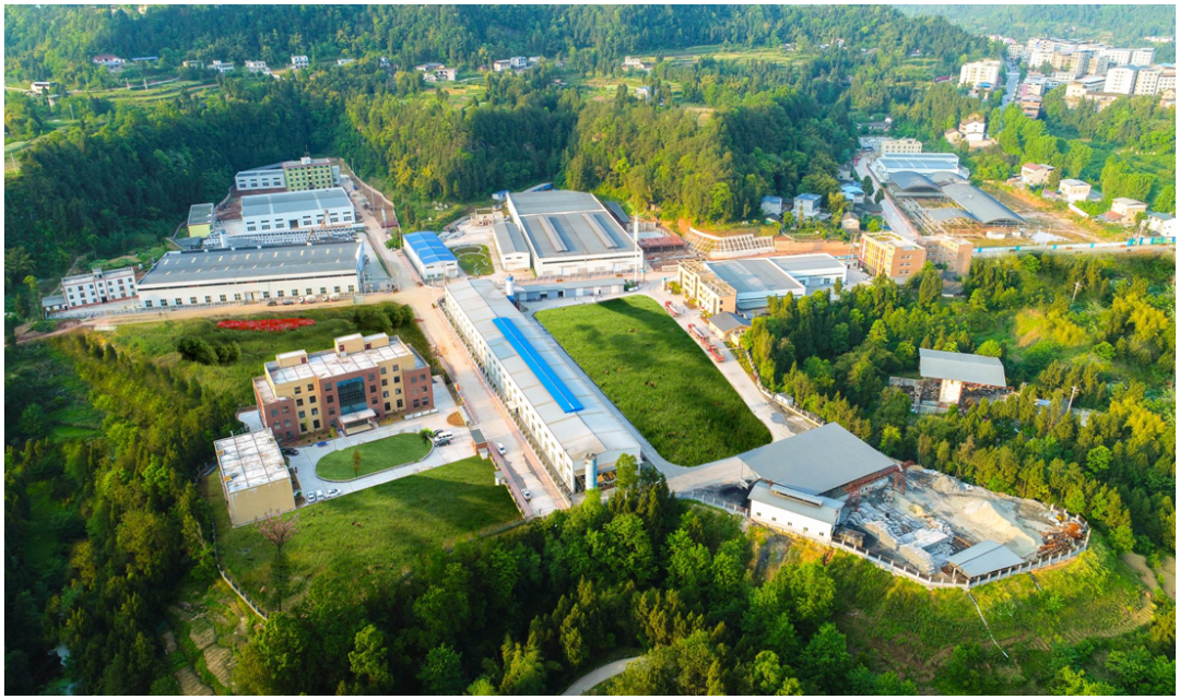 集團全力助推四川巴中恩陽區委托招商引資，全面建設“兩地三區”現代化新恩陽