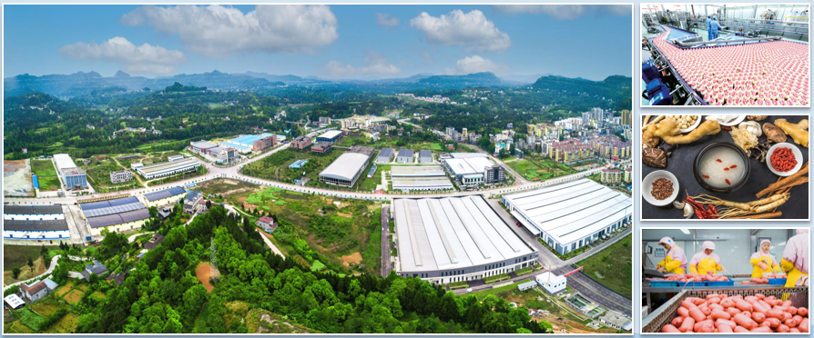 集團全力助推四川巴中恩陽區委托招商引資，全面建設“兩地三區”現代化新恩陽