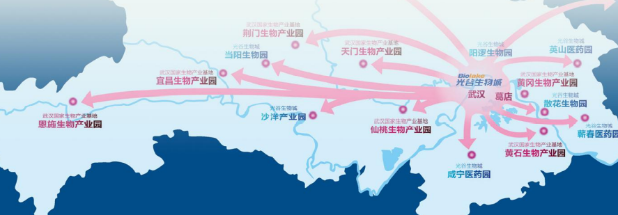 集團全力助推湖北恩施高新區(qū)委托招商引資，打造特色產(chǎn)業(yè)集群化發(fā)展新格局