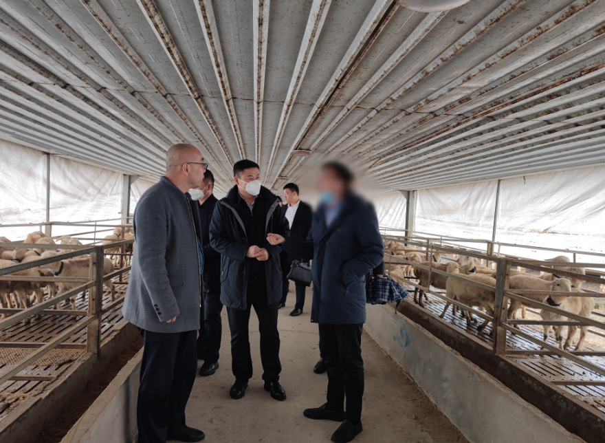 用時僅17天，投資額10億！新疆某地方政府與肉羊養殖加工產業投資選址項目成功簽訂投資協議