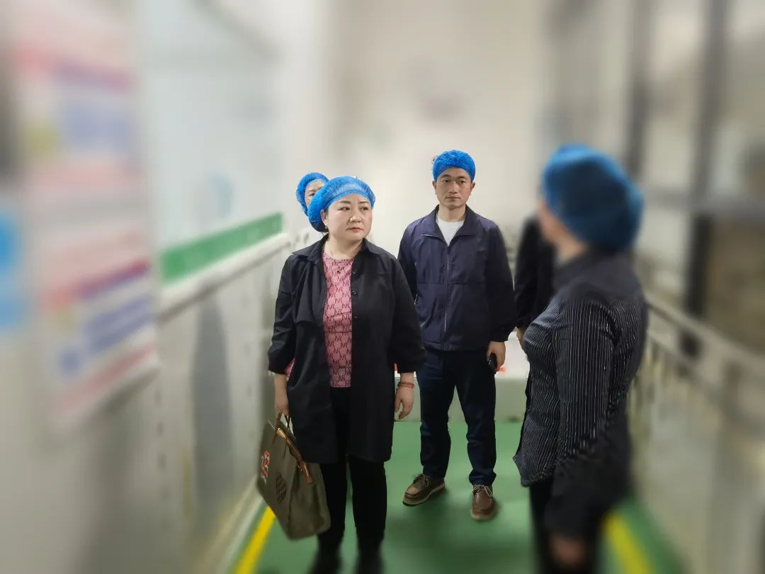 專精特新、高新技術企業！貴州某地方政府實地對接品牌農副產品深加工投資選址項目