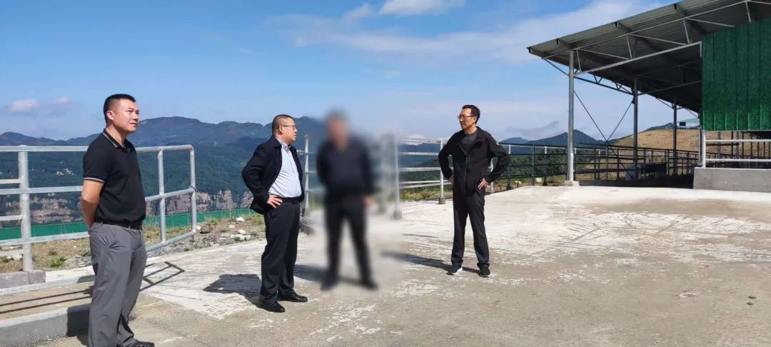 【正式落地】僅41天！集團推動肉牛繁育擴建投資選址項目成功落戶云南昭通