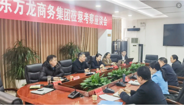 上海東方龍商務集團舉行產業鏈招商圖譜業務培訓會，2025年招商創新再啟航！