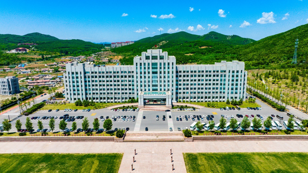 全省第三、全市第一！普灣經濟區再創省級經開區考核新高