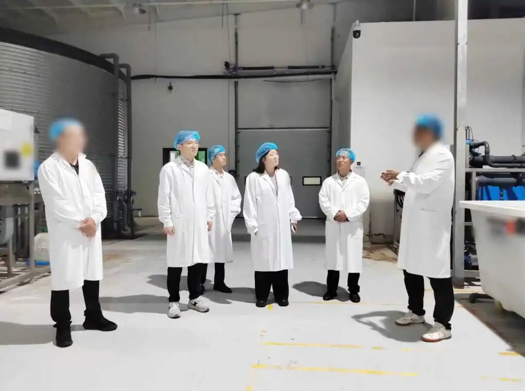 年產(chǎn)值達(dá)百億,盒馬生鮮等知名商超合作商!陜西某地方政府與世界500強(qiáng)數(shù)字農(nóng)業(yè)基地?cái)U(kuò)建投資選址項(xiàng)目企業(yè)完成雙向考察