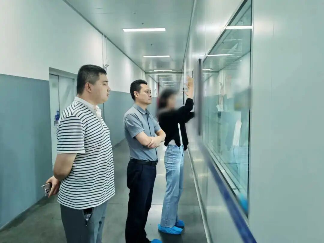 投資額6億，擁有百項知識產權！湖南某地方政府實地對接獨立儲能電站布局擴建投資選址項目